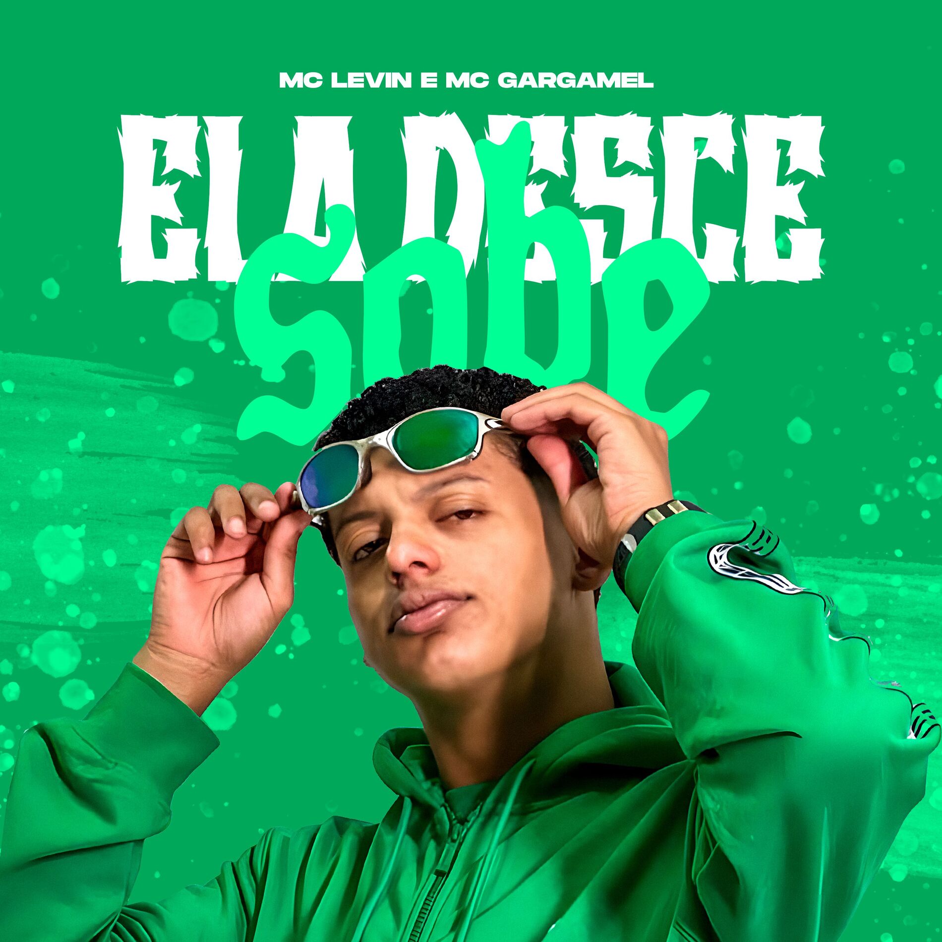 Album cover of Ela Desce Sobe
