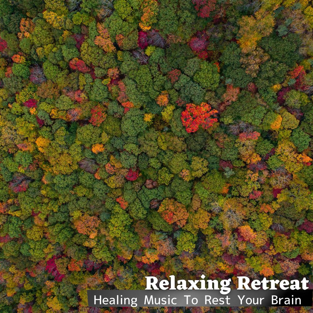Picture of Healing Music To Rest Your Brain