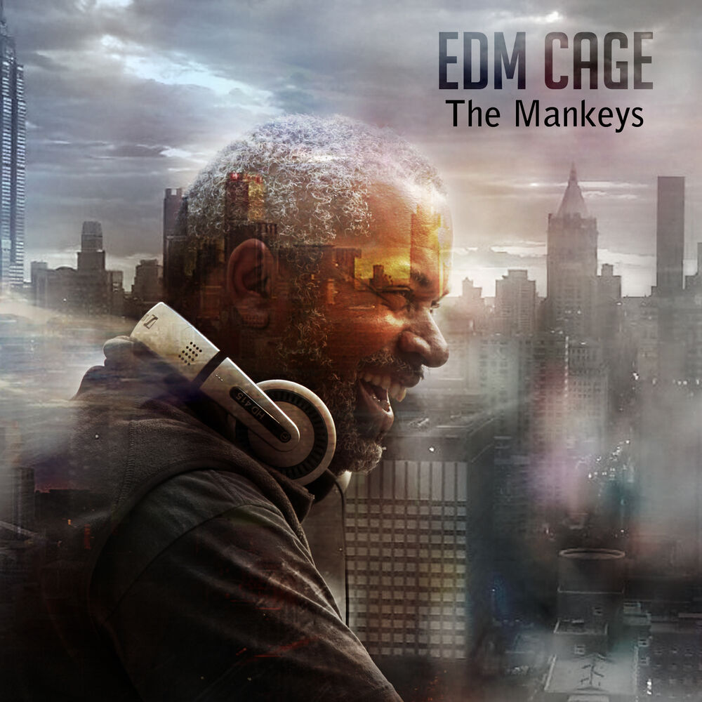 Picture of EDM Cage