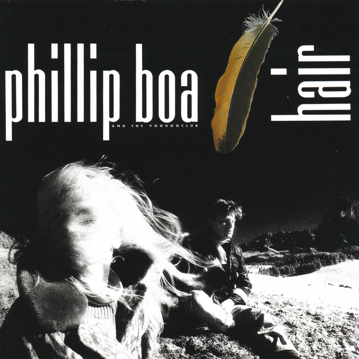 Album cover of Hair