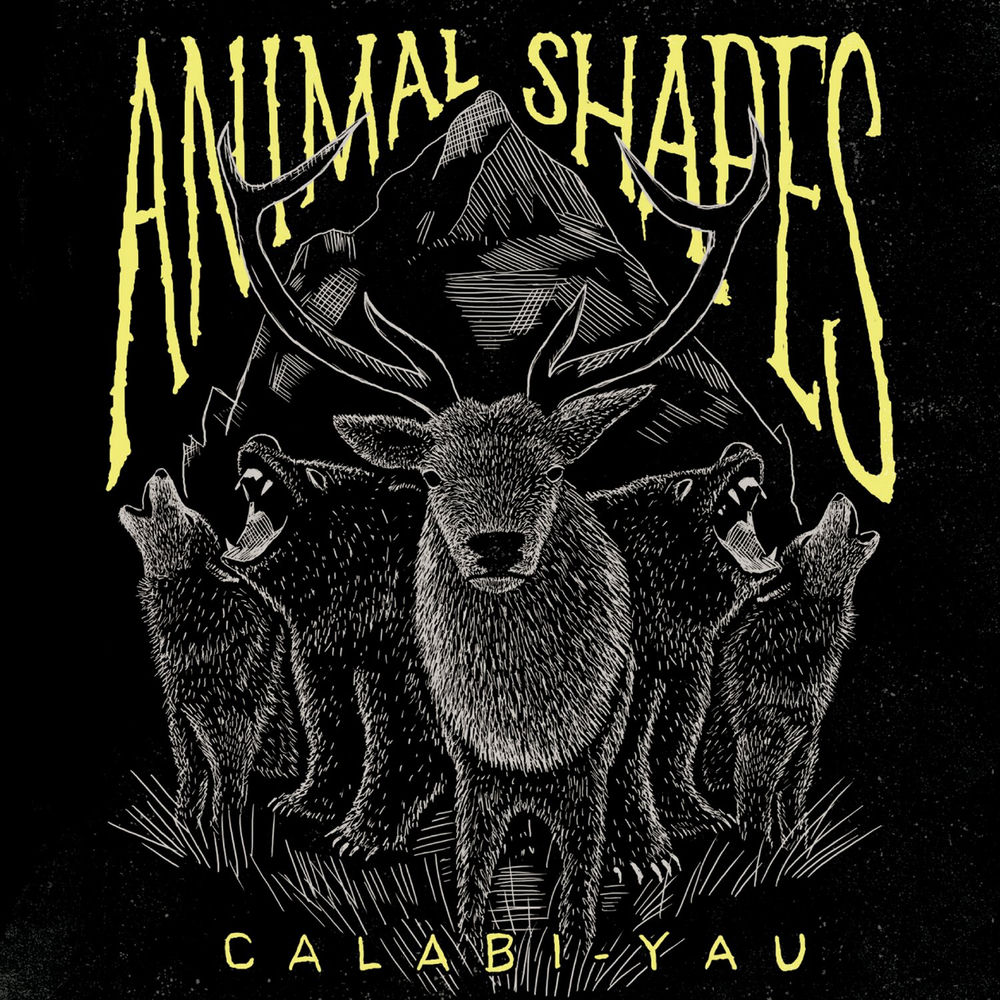 Album artwork for Planck by Animal Shapes