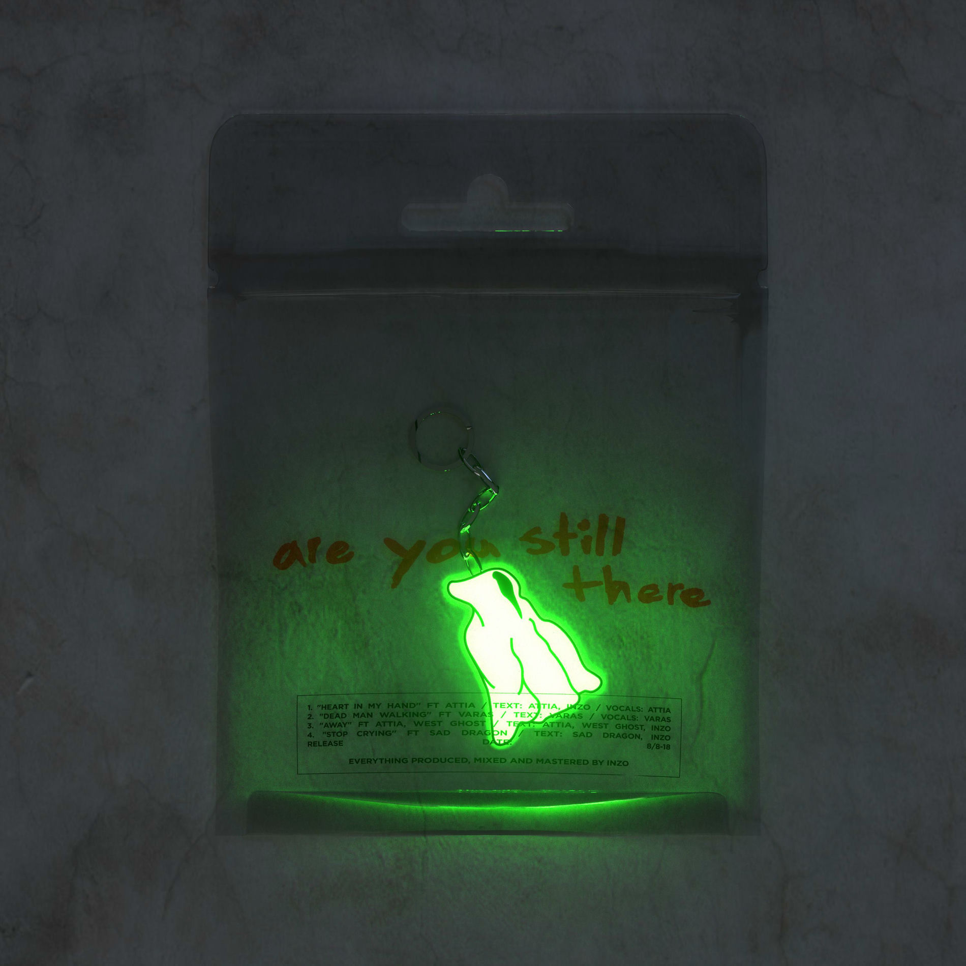 Album cover of Are You Still There