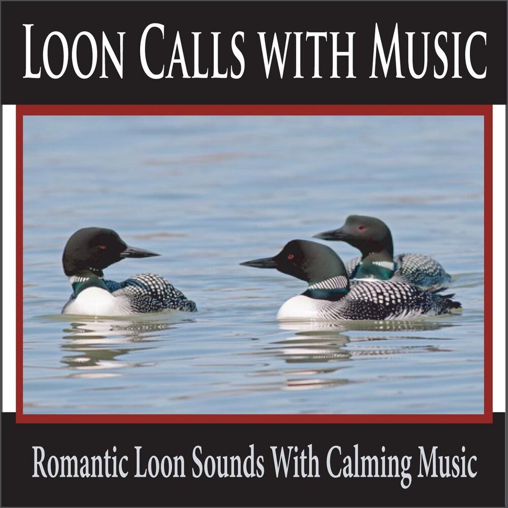 Picture of Loon Calls with Music: Romantic Loon Sounds with Calming Music
