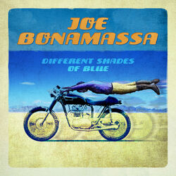 Cover of Different Shades of Blue