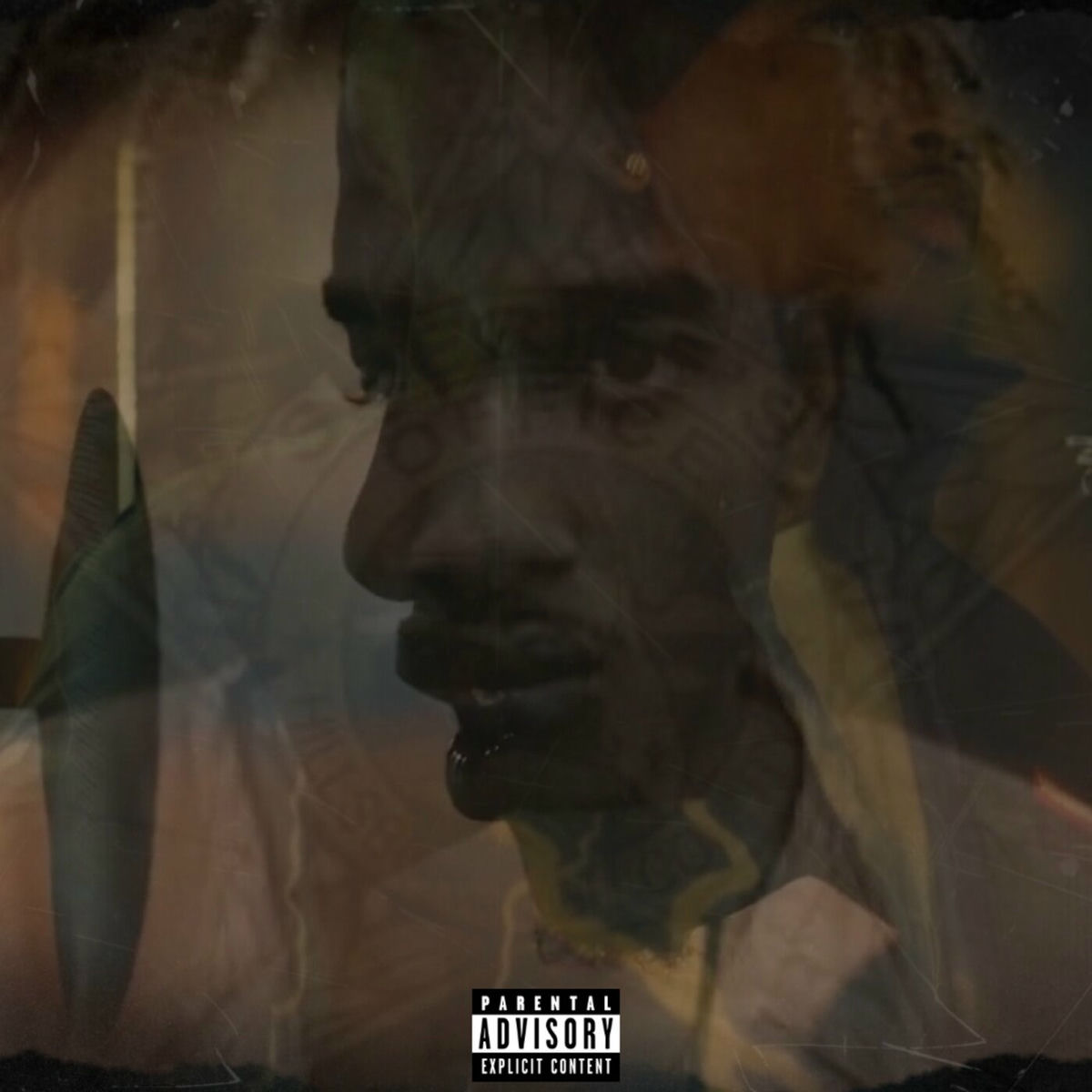 Album cover of Free Taz