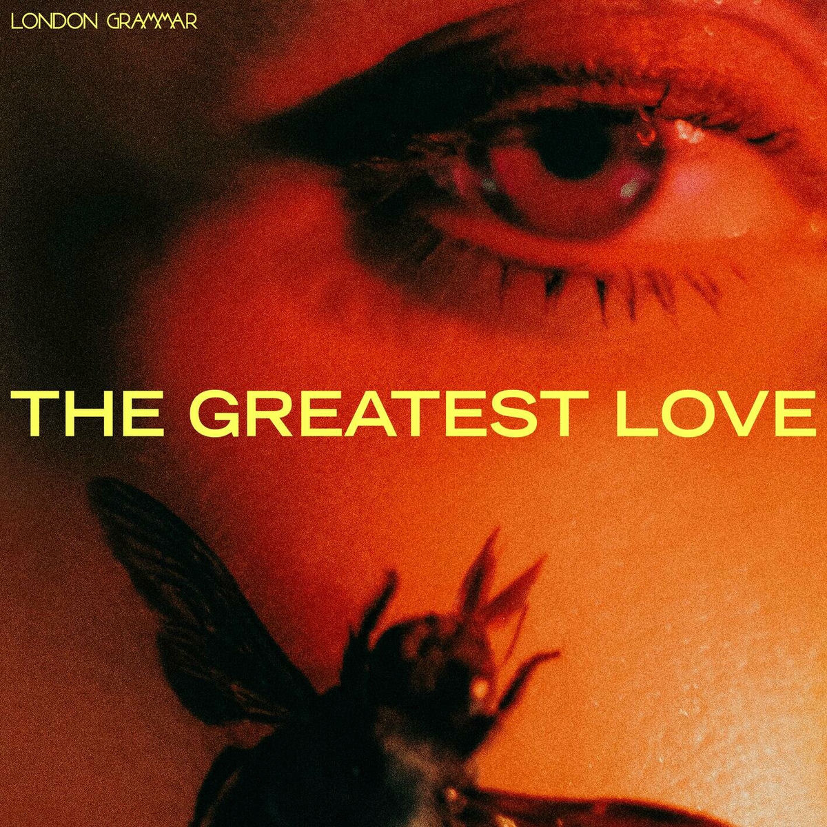 Album picture of The Greatest Love