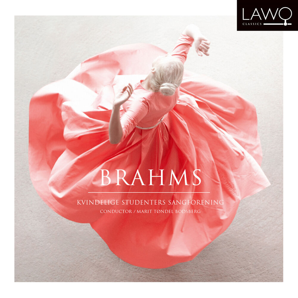 Picture of Brahms