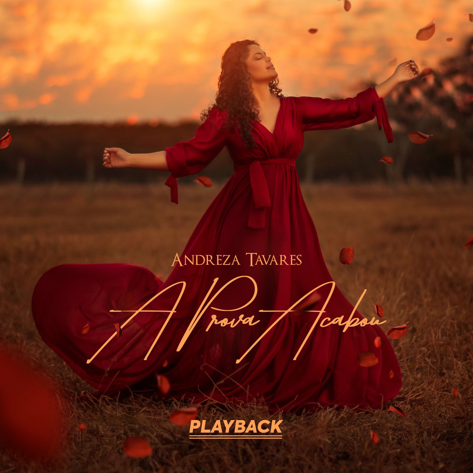 Album cover of A Prova Acabou (Playback)