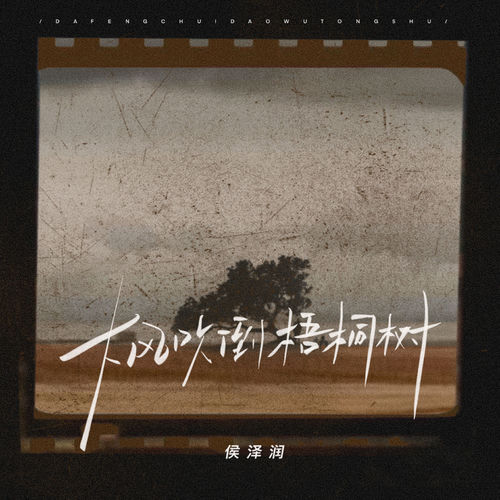 大风吹倒梧桐树 (+敬往事一杯)