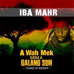 Cover of A Wah Mek Dem A Galang Suh (Shake Up Riddim)