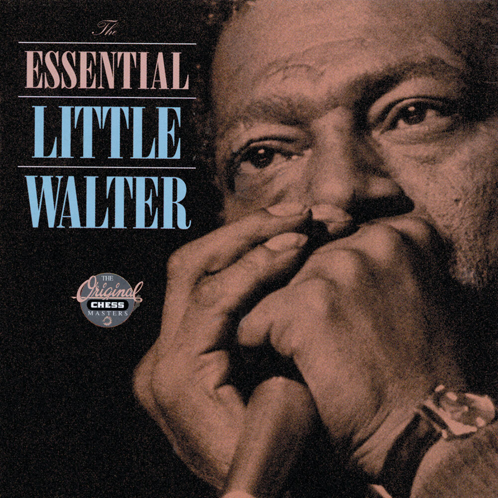 Picture of The Essential Little Walter
