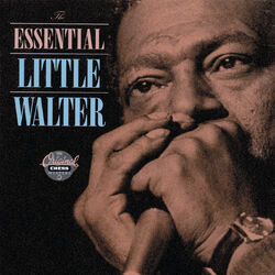 Cover of The Essential Little Walter