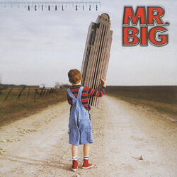 Cover of Actual Size