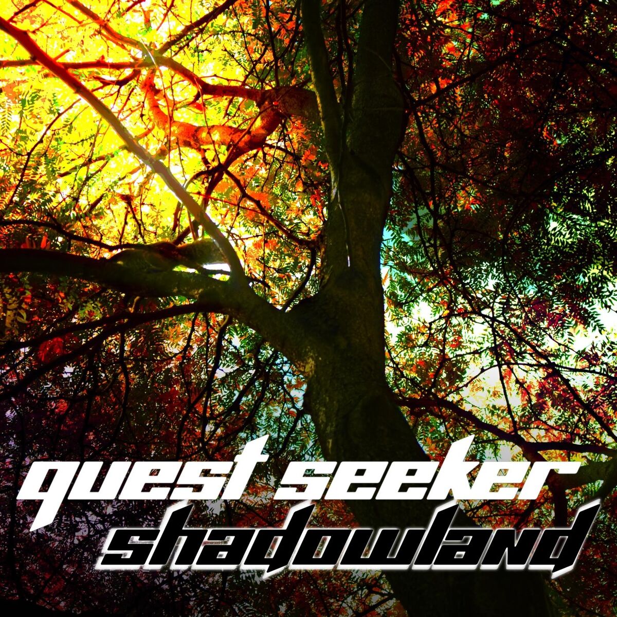 Album cover of Shadowland