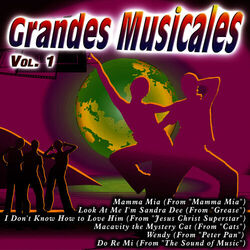 Cover of Grandes Musicales Vol. 1