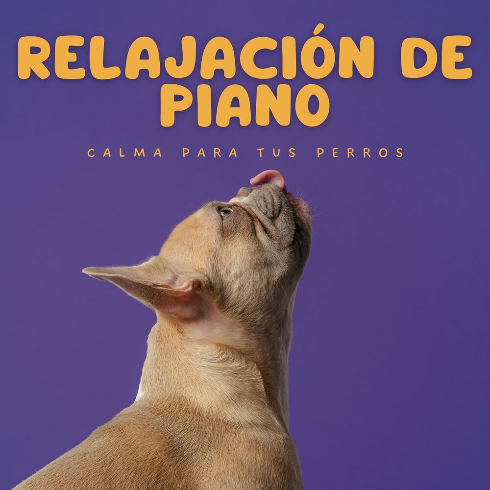 Picture of Relajación De Piano: Calma Para Tus Perros