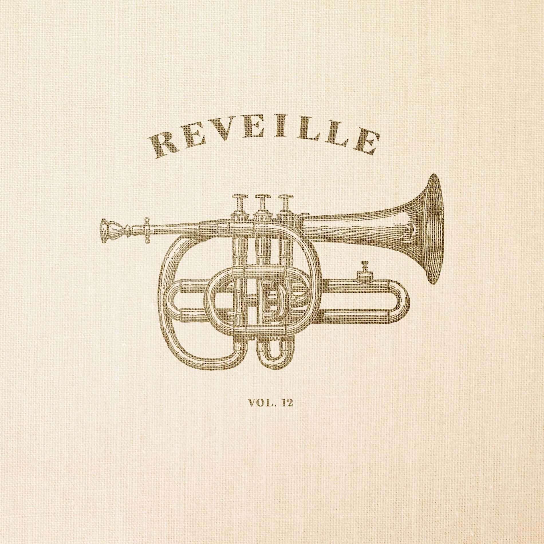 Album cover of Vol. 12