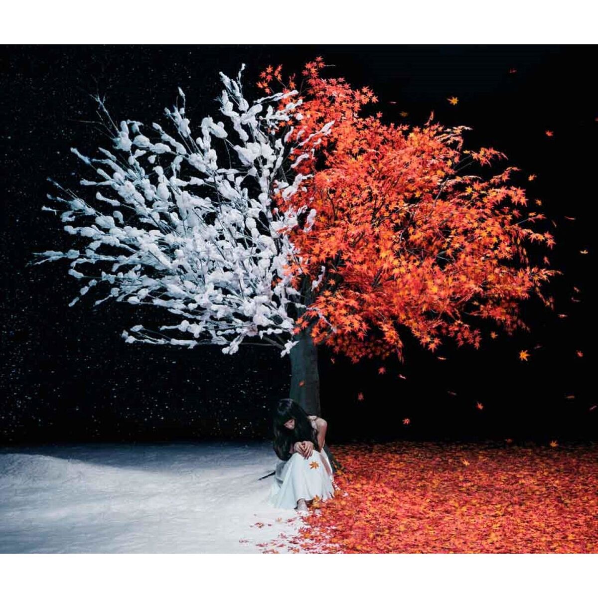 Album cover of Everlasting Snow