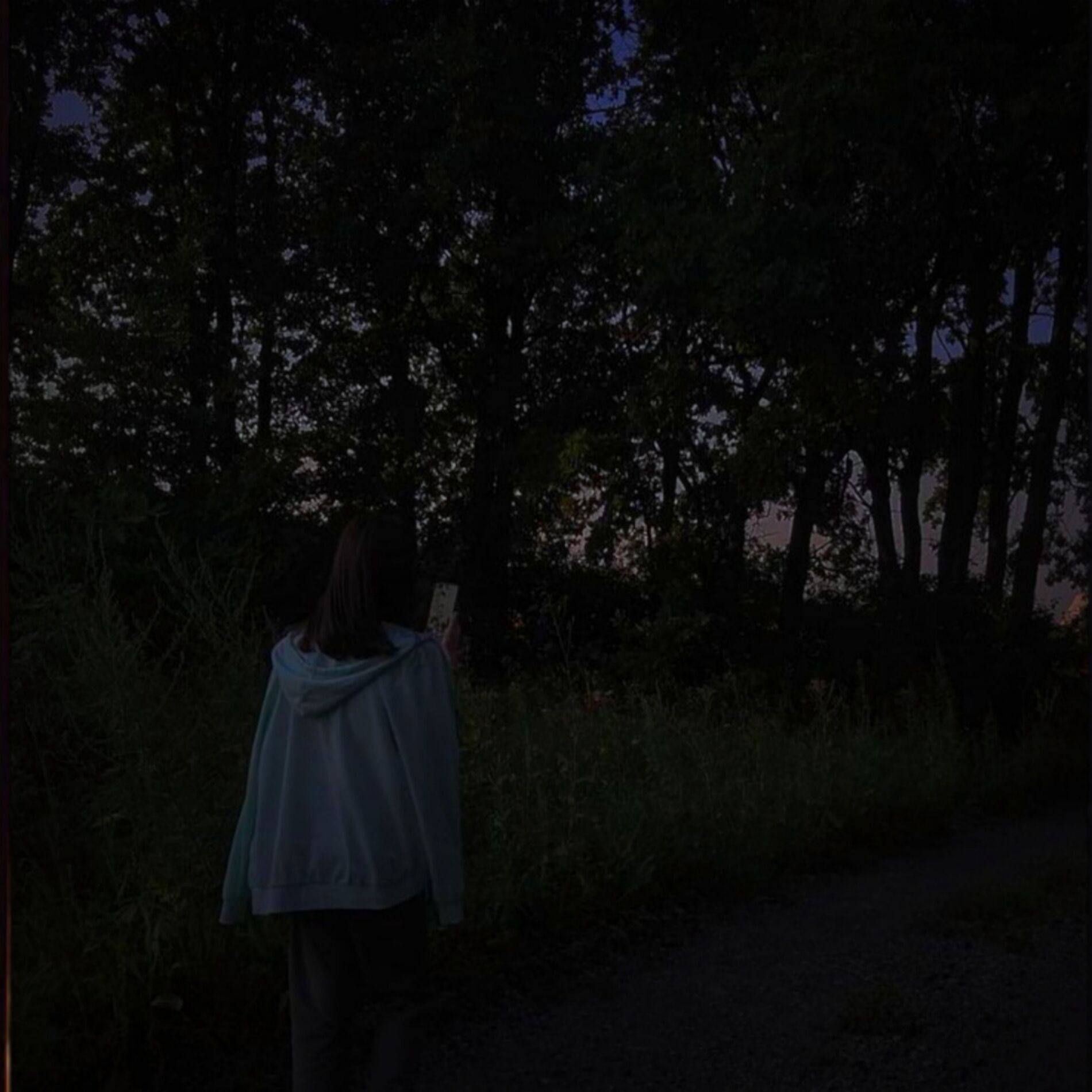 Album cover of Emotions
