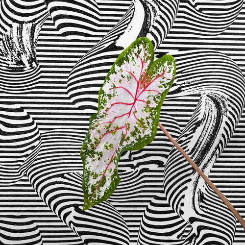 Heartbeat Won't Wait artwork