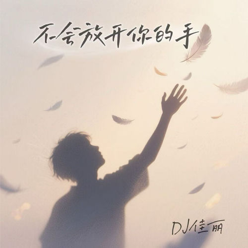 不会放开你的手