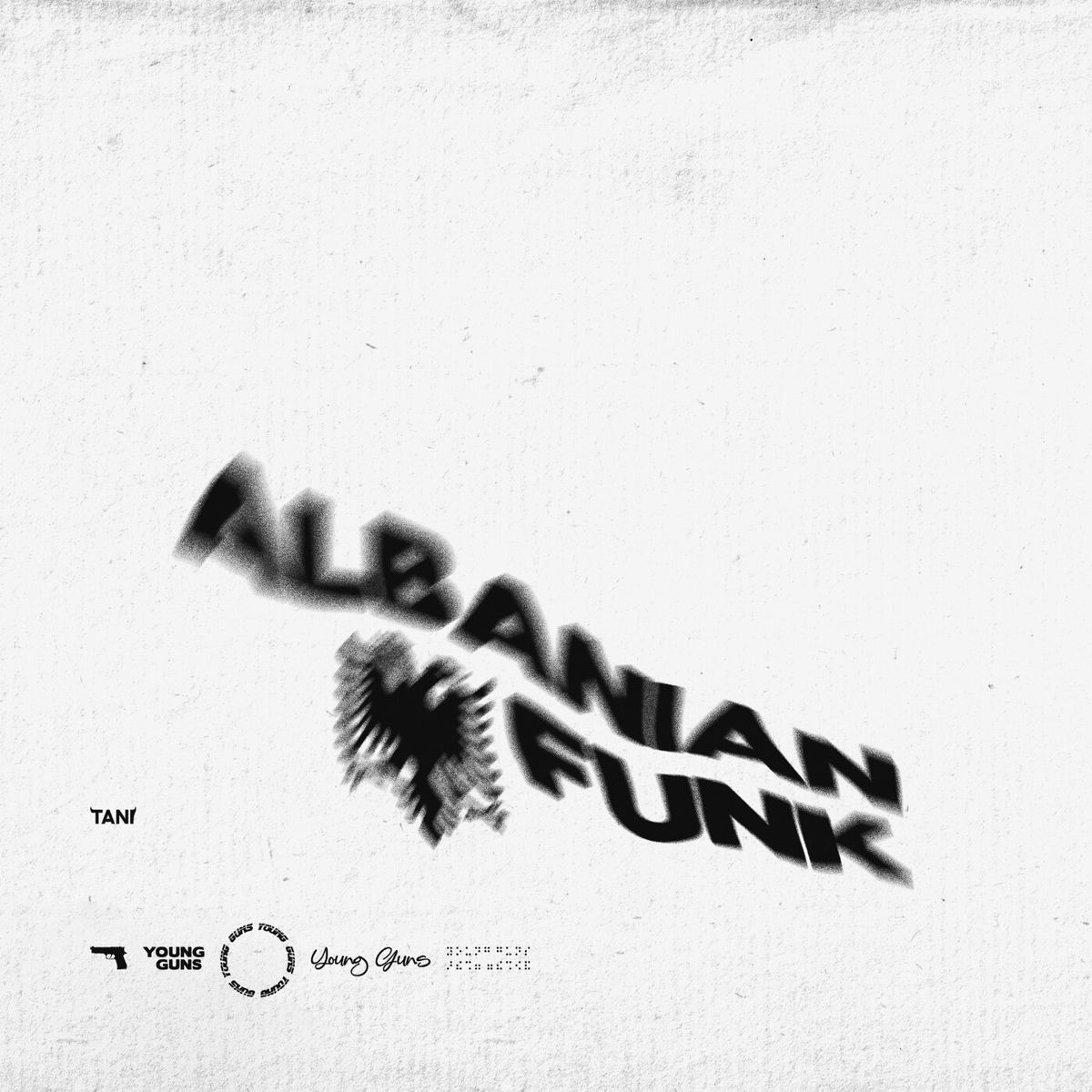 Album cover of Albanian Funk