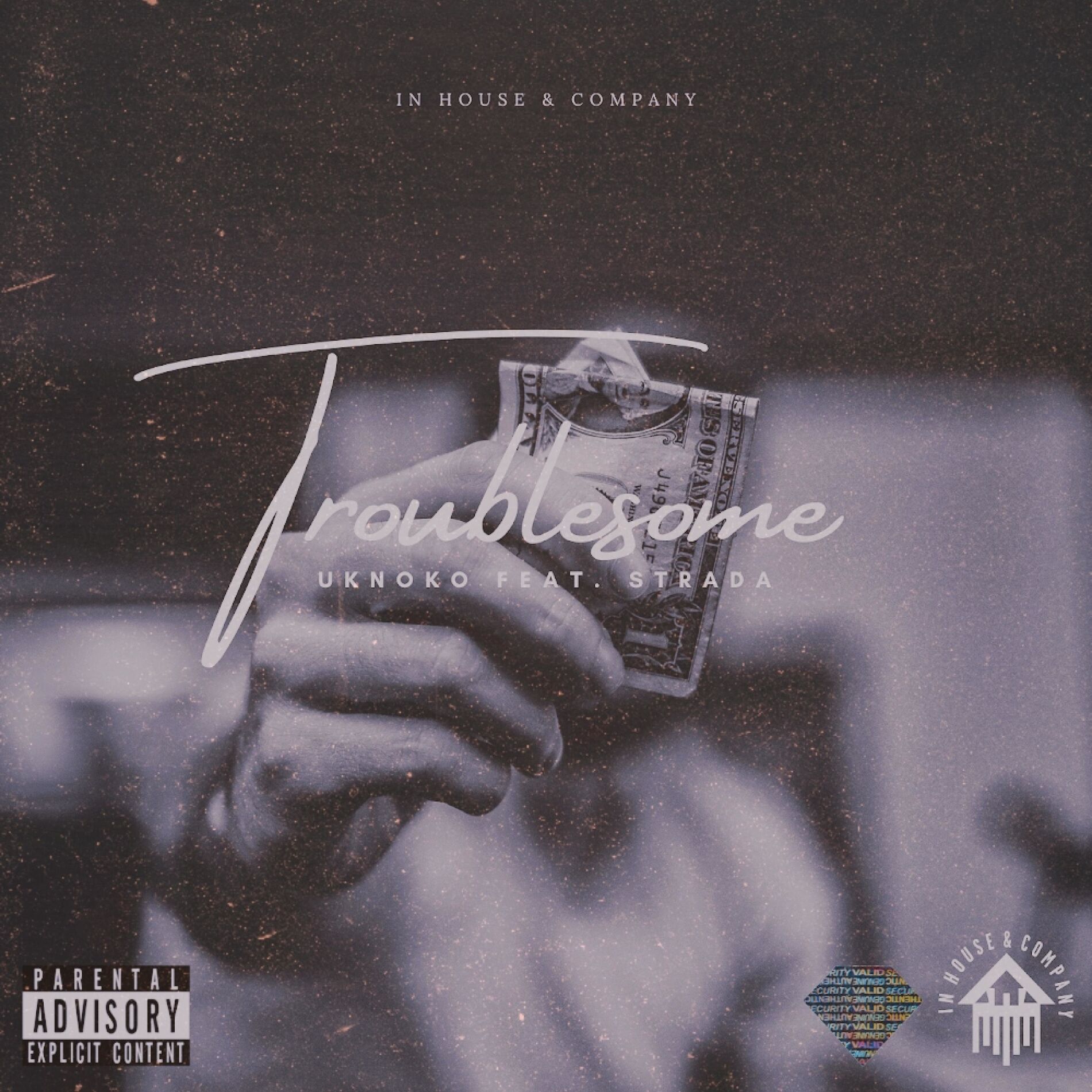 Album cover of Troublesome (feat. Strada)