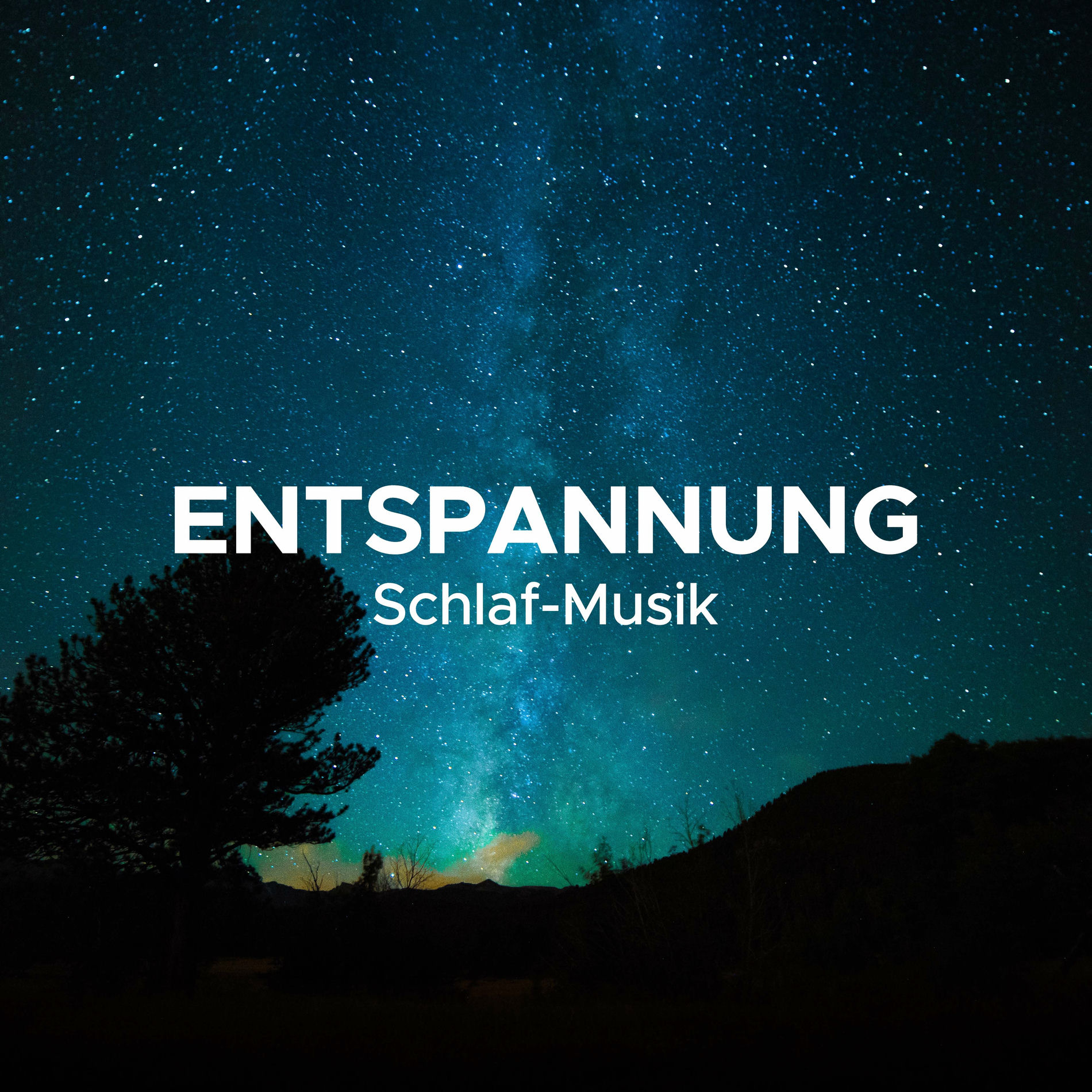 Album cover of Entspannung (Schlaf-Musik)