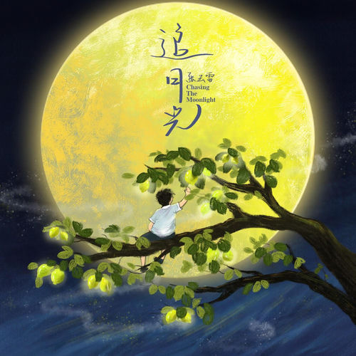 追月光