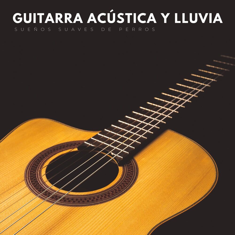 Picture of Guitarra Acústica Y Lluvia: Sueños Suaves De Perros