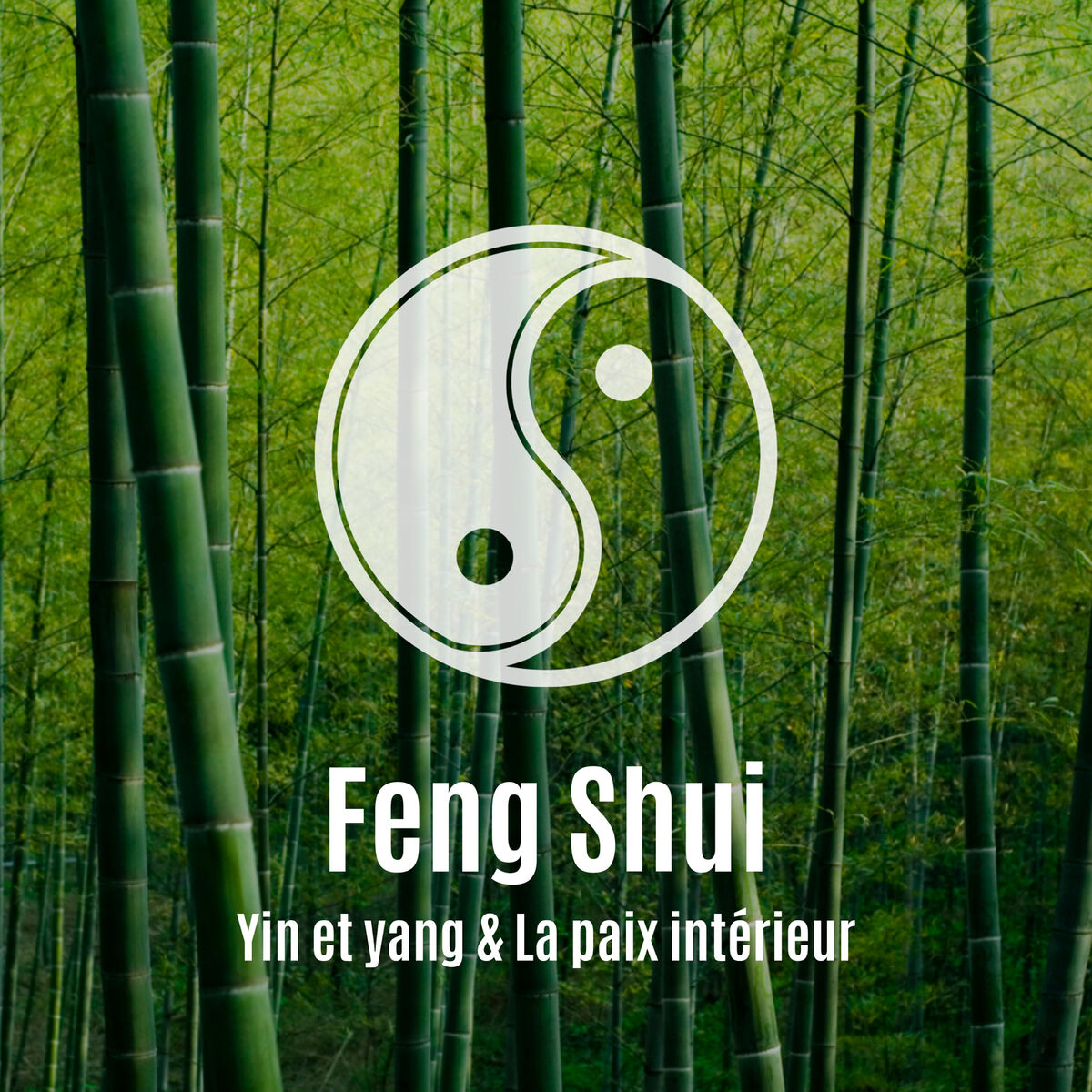 Album cover of Feng Shui: Yin et yang & La paix intérieur