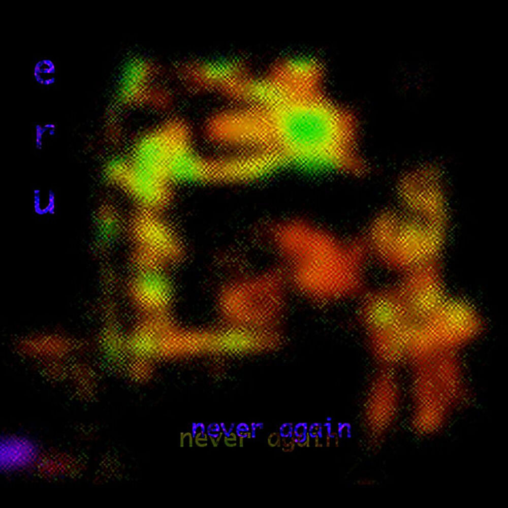 Picture of Never Again