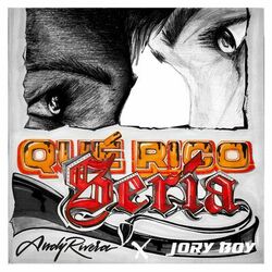 Cover of Que rico sería