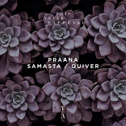 Descargar Quiver - Praana MP3