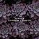 Quiver by Praana album cover
