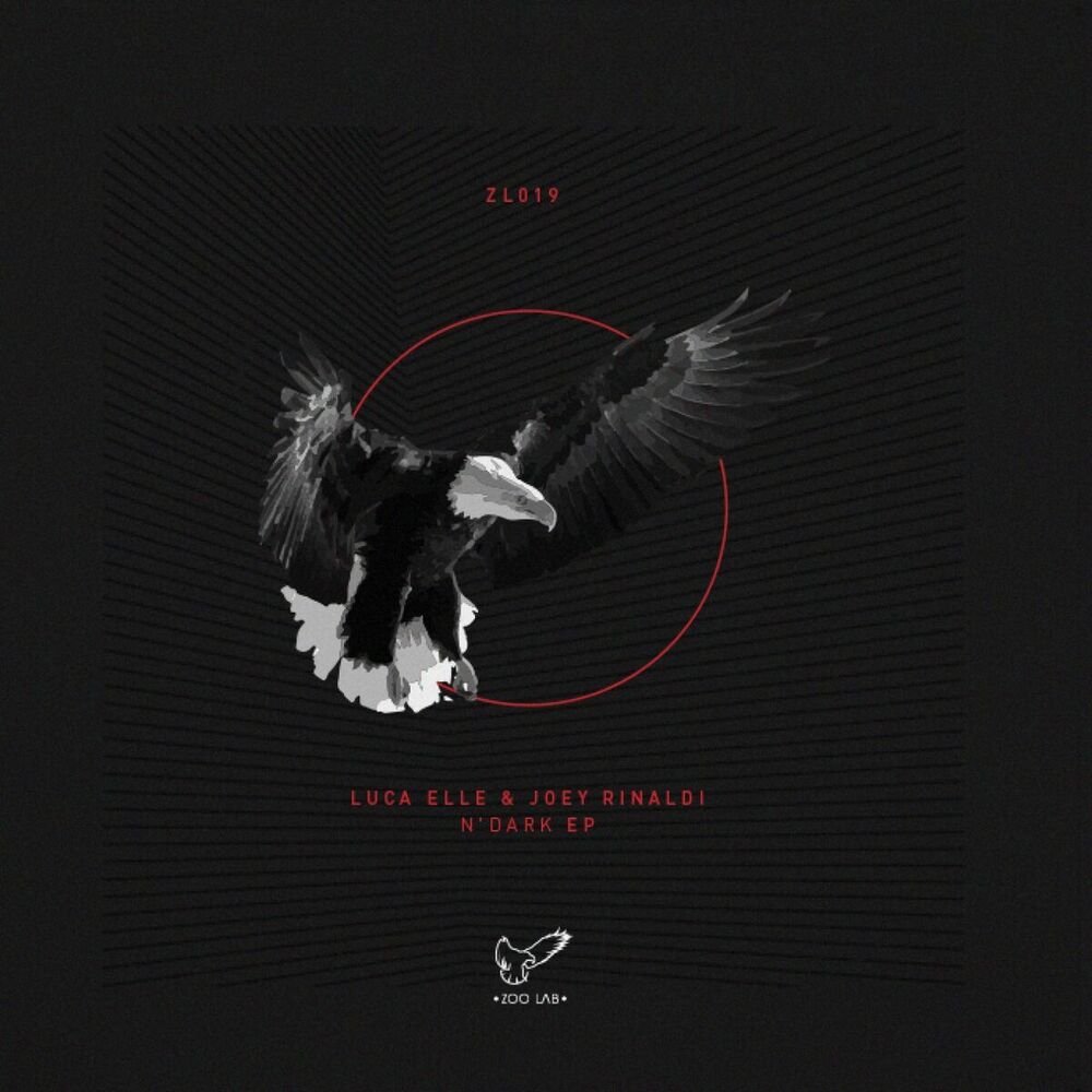Picture of N' Dark Ep