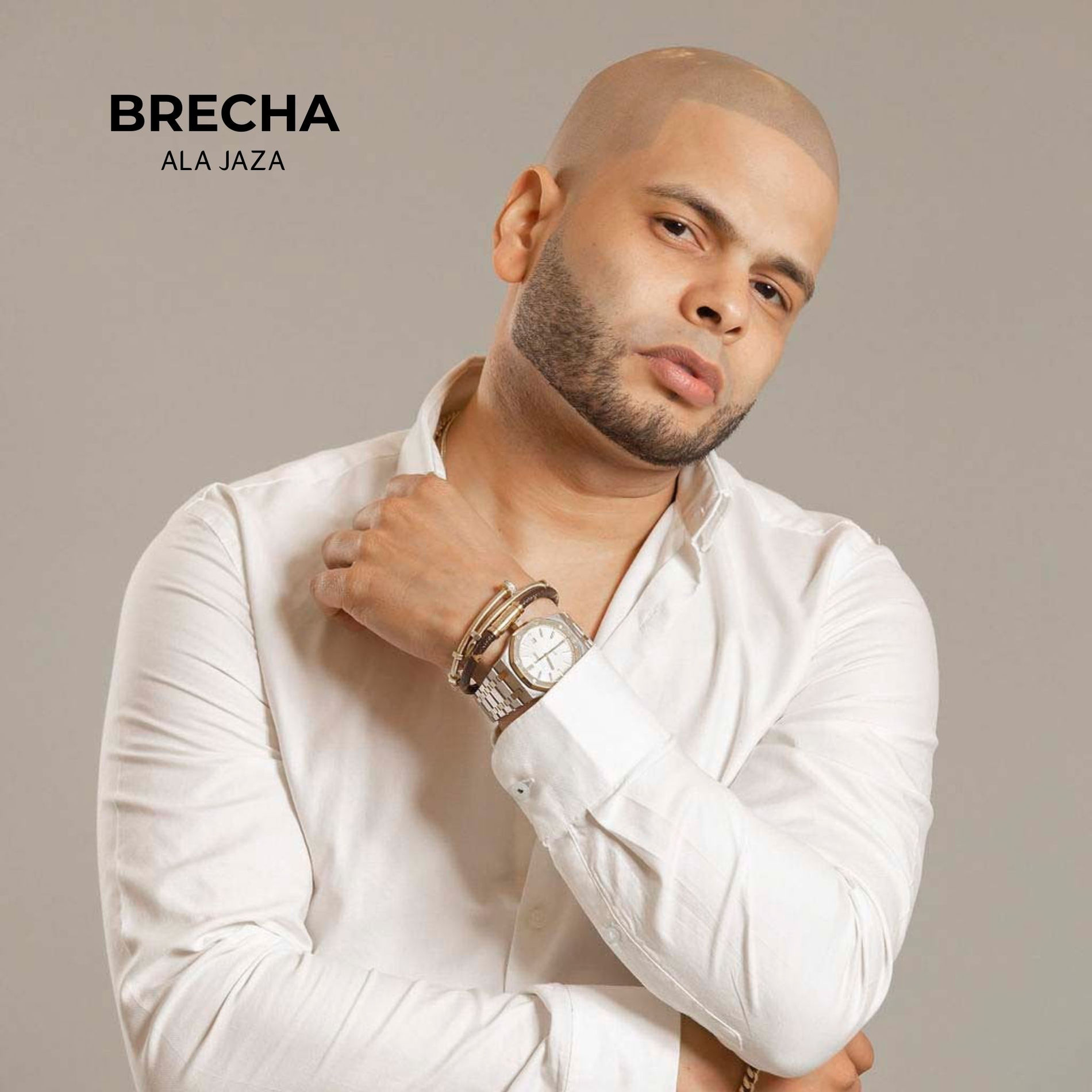 Album cover of BRECHA