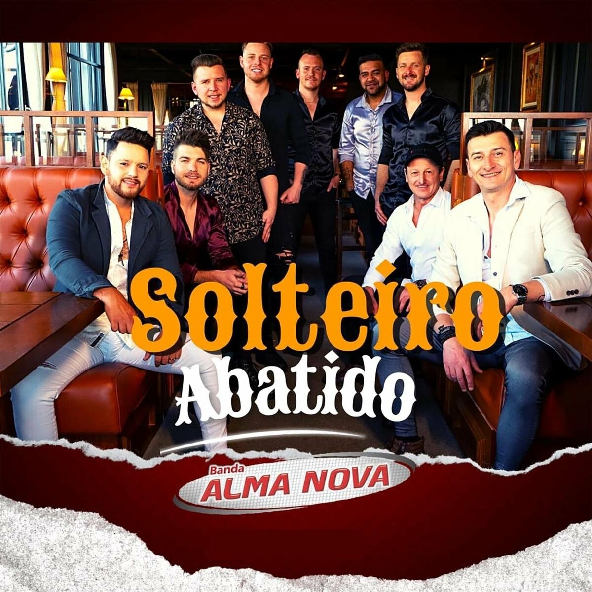 Album cover of Solteiro Abatido