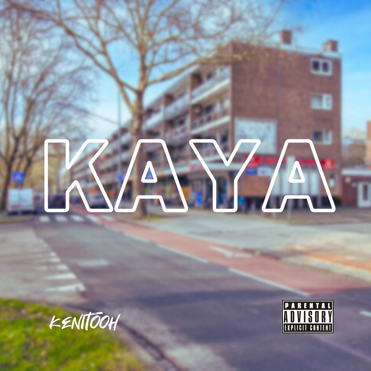 Album cover of Kaya