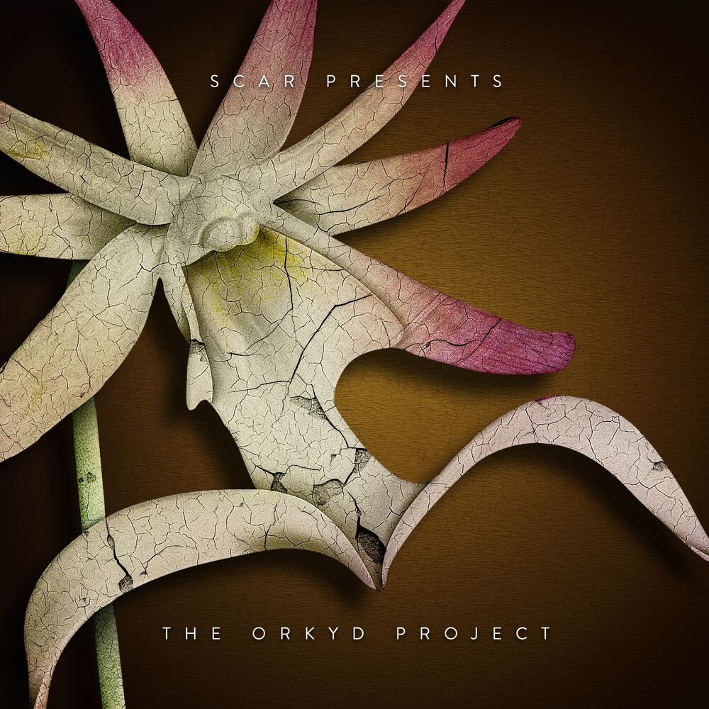 Picture of The Orkyd Project