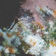 Breathing (Extended Mix)