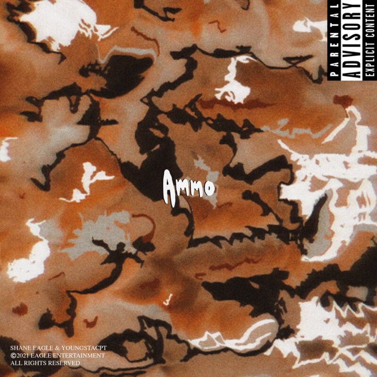 Album cover of AMMO