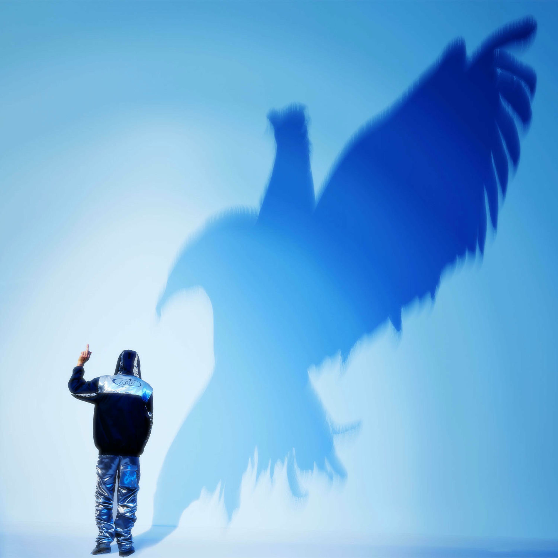 Album cover of Mr BIRD