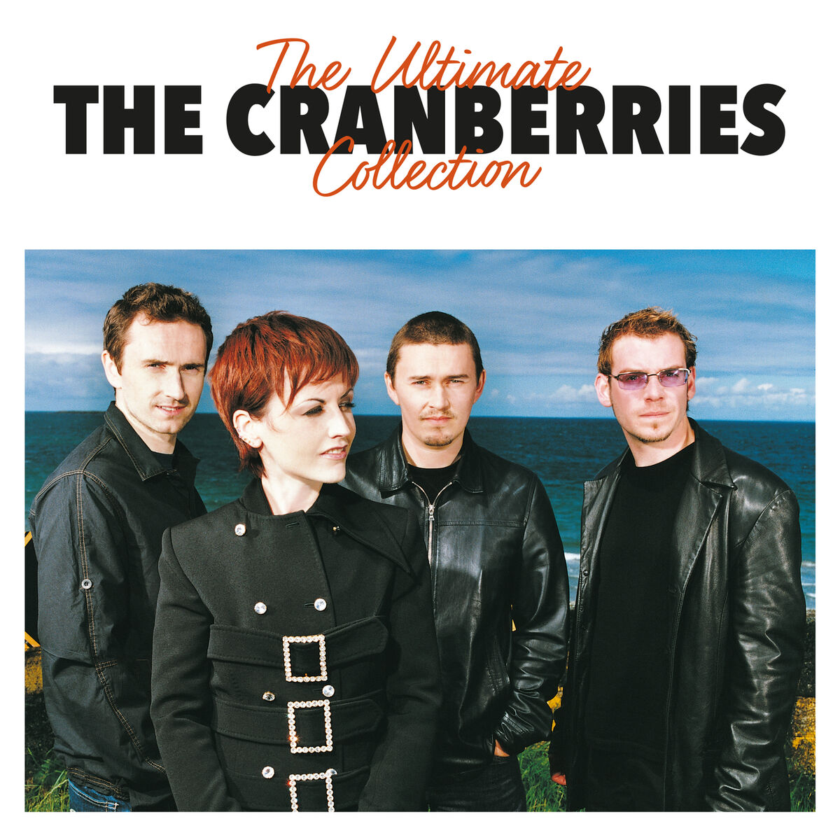 Album cover of The Ultimate Collection