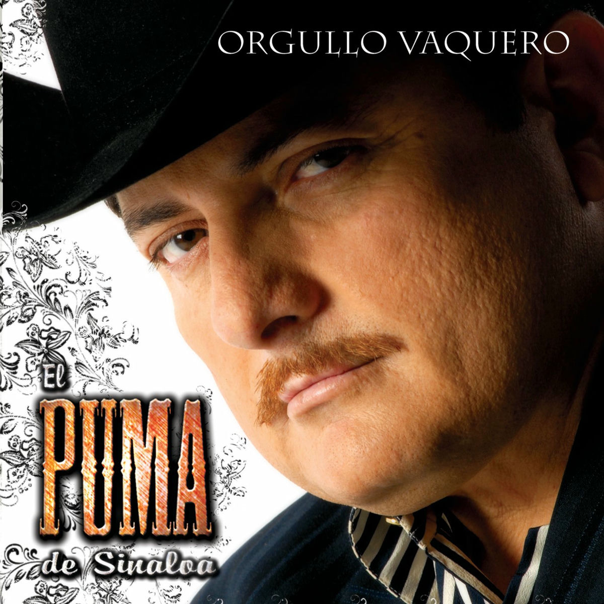 Album cover of Quisiera Ser