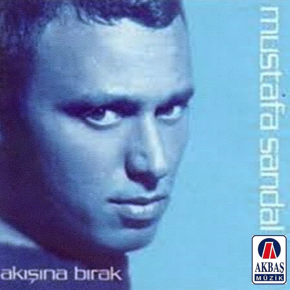 Picture of Akışına bırak