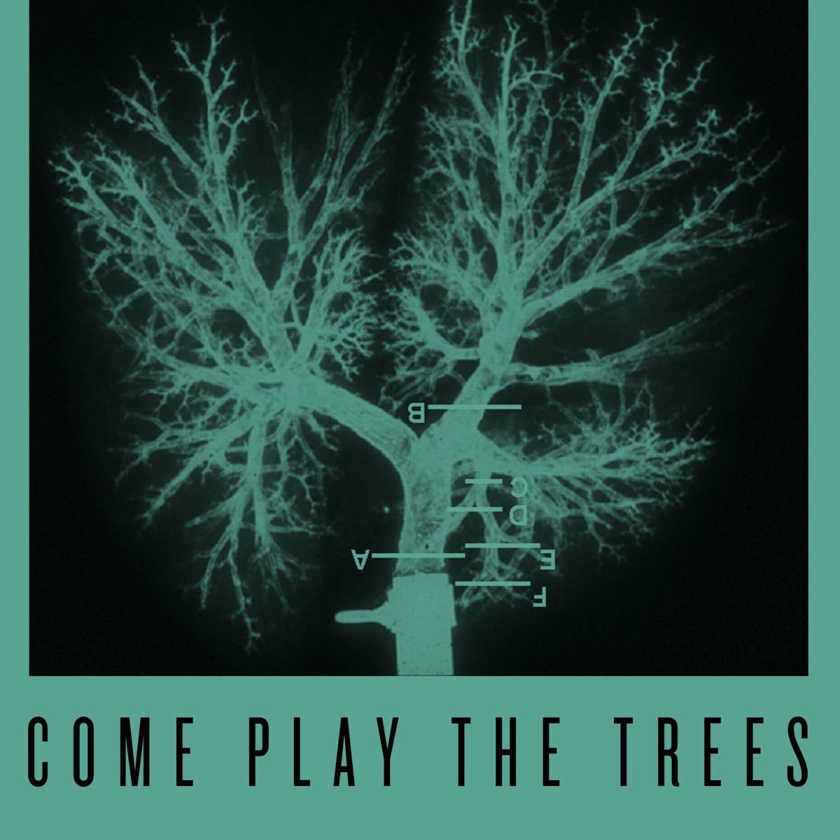 Album cover of Come Play the Trees (Crooked Man Remixes)