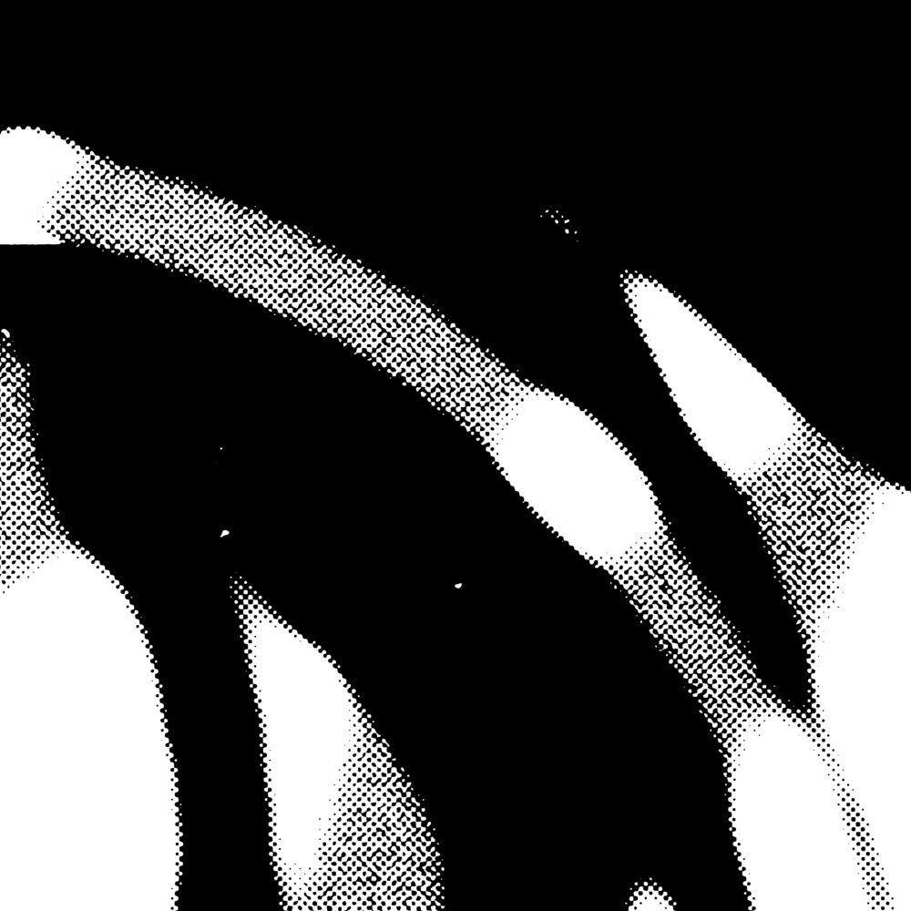 Picture of Flesh Impact
