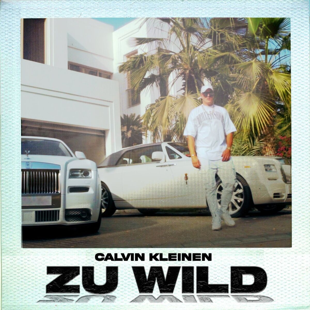 Album cover of Zu wild