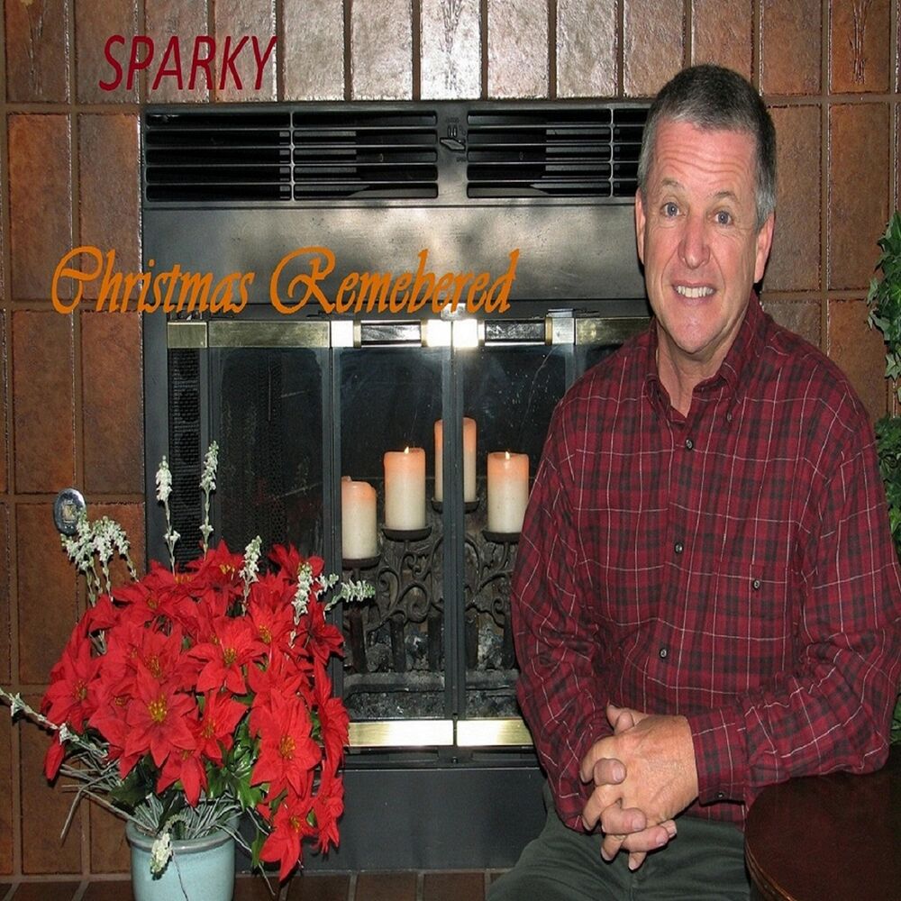 Picture of Christmas Remembered